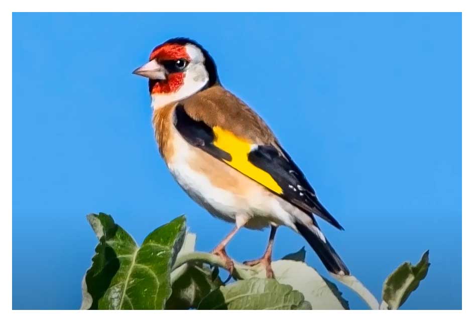 Due to various reasons this year, lock-downs being one of them and the ever present threat of Covid I haven�t had the enthusiasm to get out as much as I normally do with my camera.